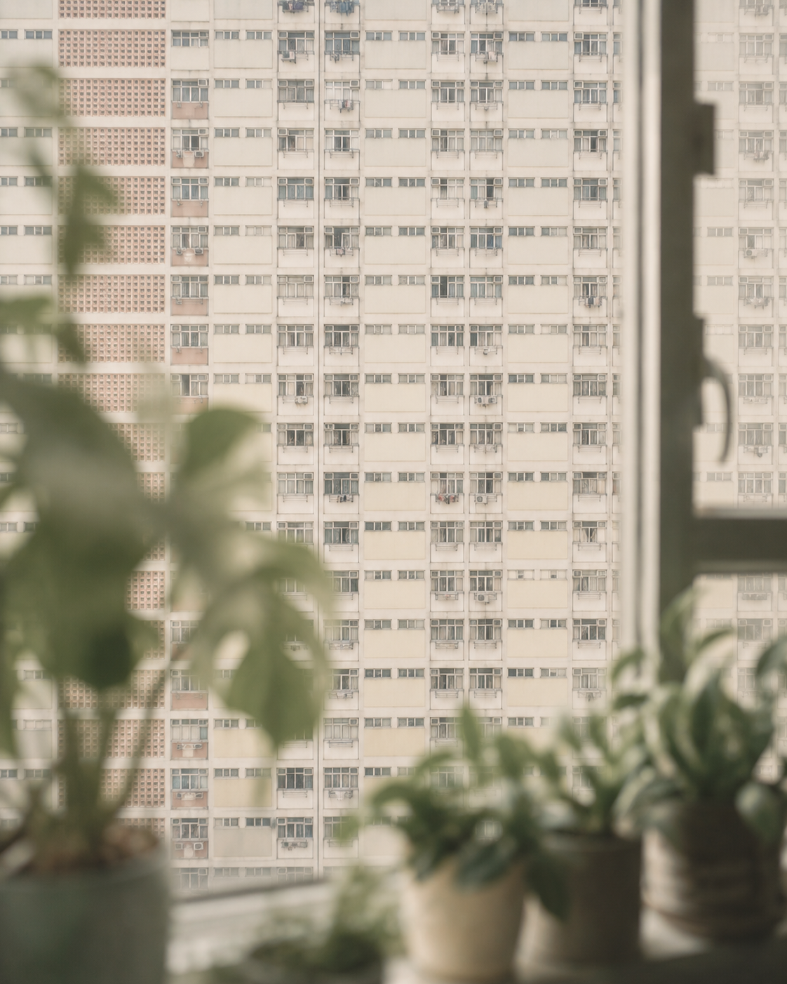 Hong Kong residential facade seen through a window with plants